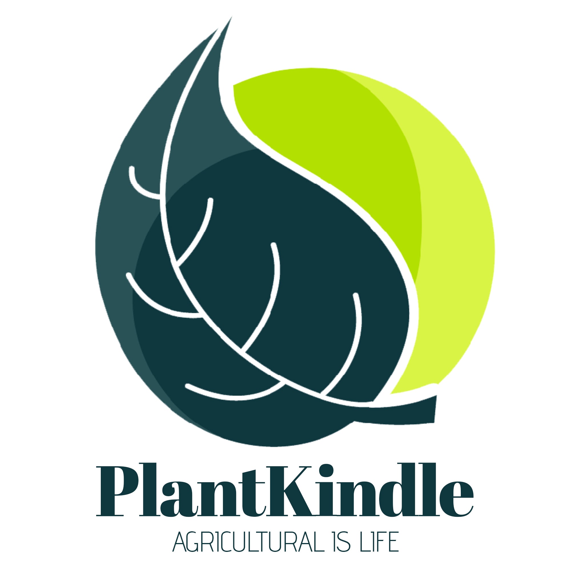 Plant Kindle